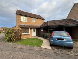 Linnet, Orton Wistow, Peterborough, PE2
